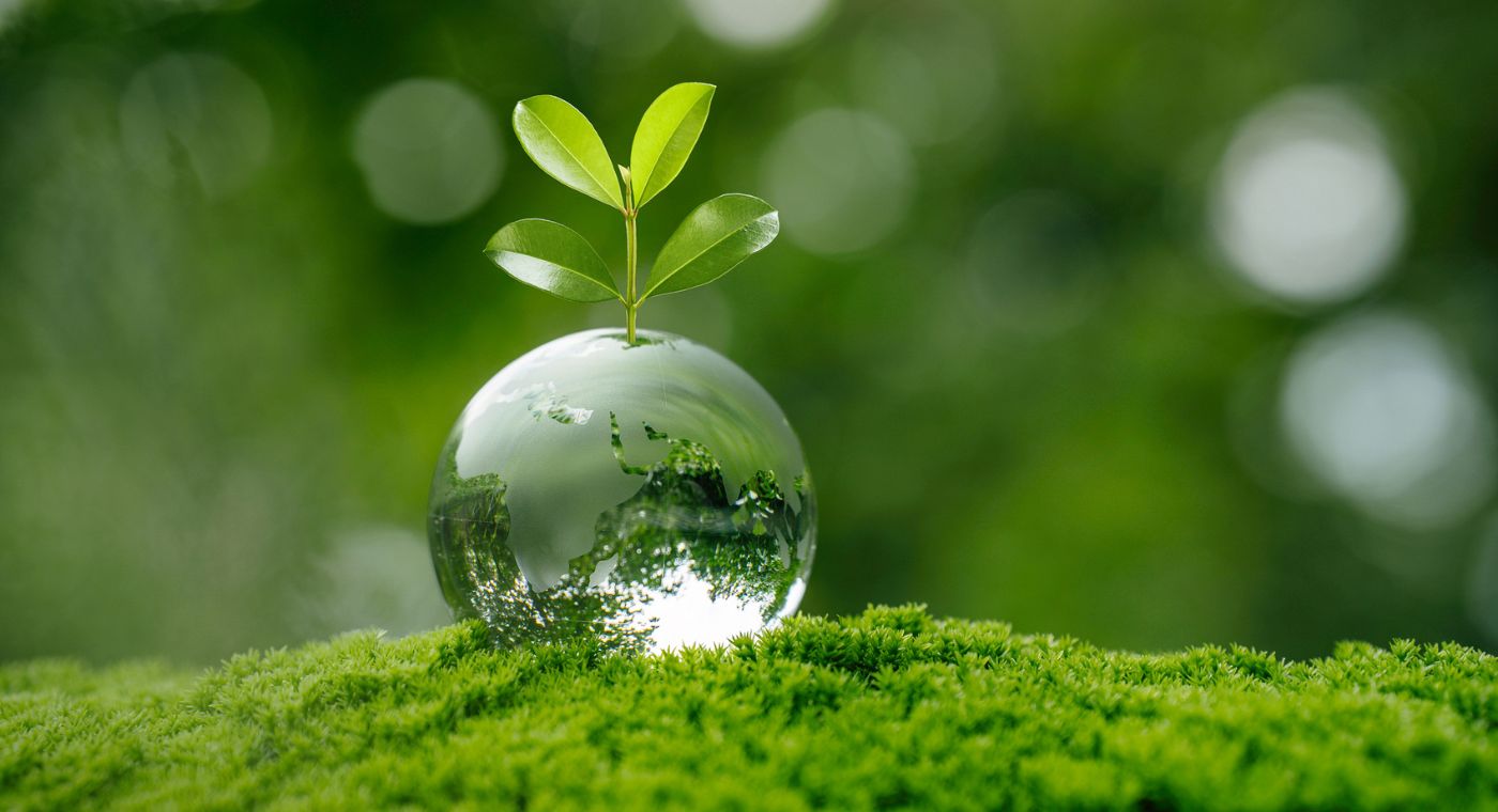 Glaskugel mit angedeuteter Weltkarte, aus der ein grüner Pflanzenspross wächst, auf moosigem Untergrund vor unscharfem, grünem Naturhintergrund.