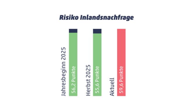 Diagramm Risiko Inlandsnachfrage